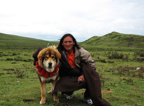 are mastiffs good hiking dogs