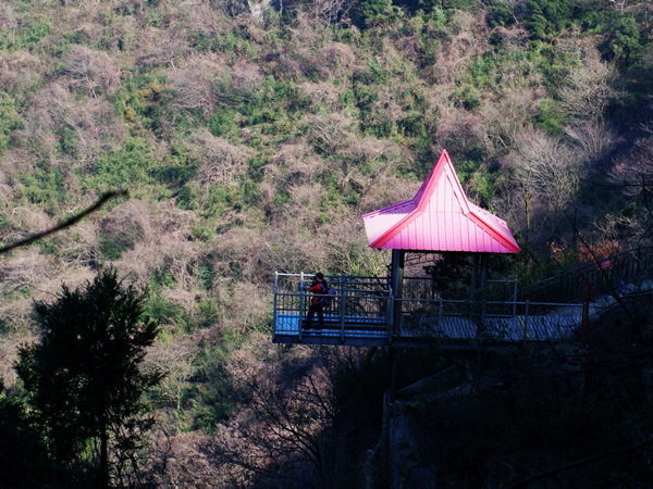 Moganshan Mountain Spring