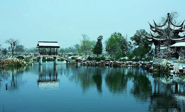 Xixi Wetlands Winter