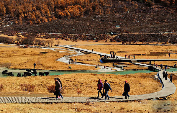 Garze Daocheng Yading Visitors