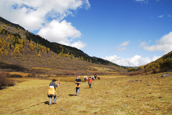 Visit Garze Daocheng Yading