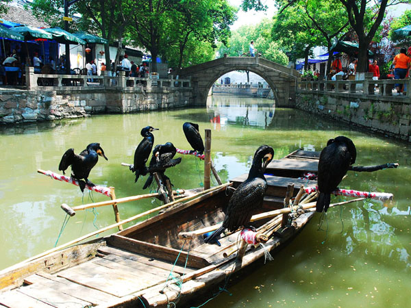 Tongli Water Town Landscape 