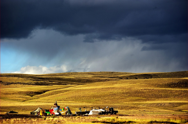 Tibet Grassland Scenery