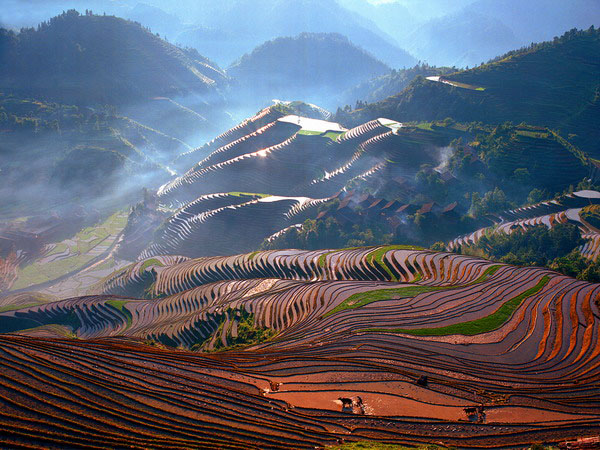 Longji Terraced Rice Fields Longsheng