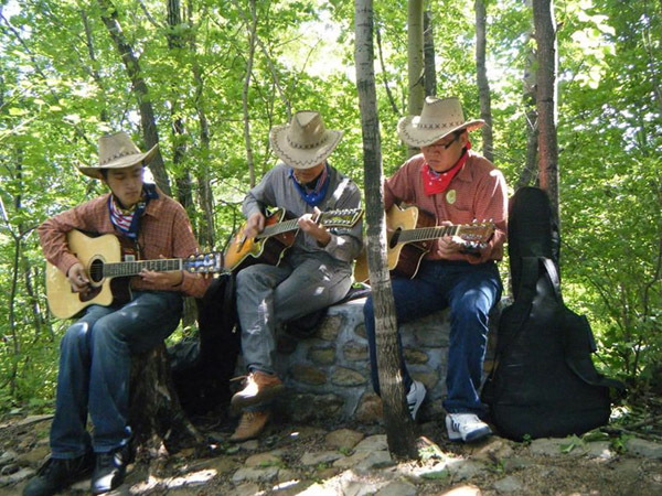 Harbin Summer Music Concert Play In Woods