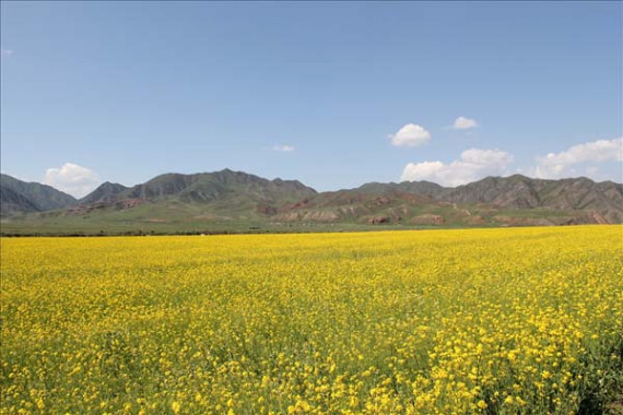 China Gansu Sangke Prairie