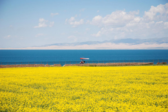 Qinghai Lake Scenery