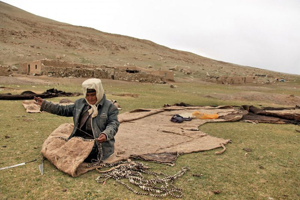 Tajik Carpet