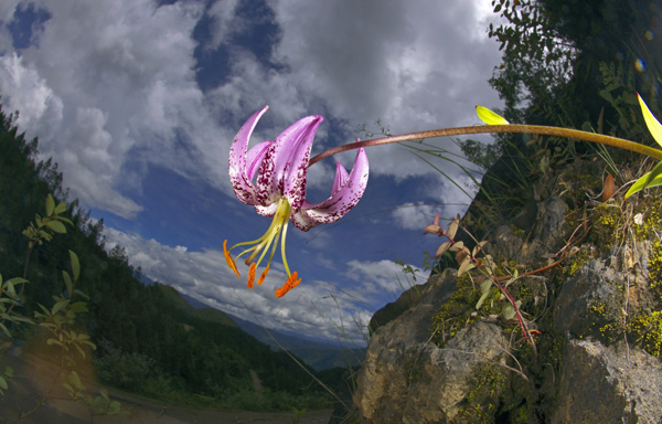 Lijiang Mountain Laojun