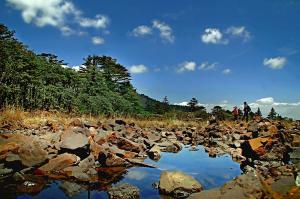 Yunnan Mountain Laojun