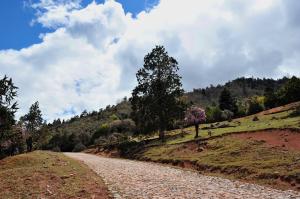 Mountain Laojun Path