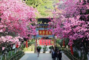 Yuantong Temple In Spring